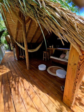 Pura vida Lodge